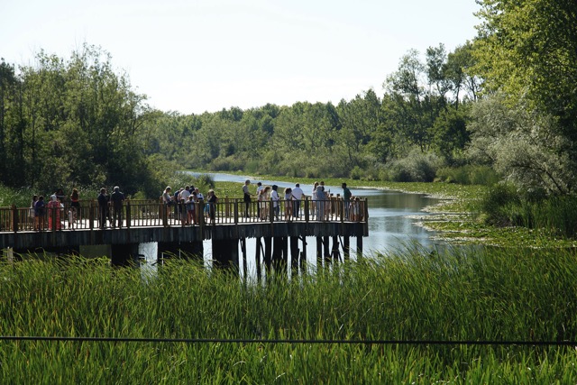 Sakarya’nın tabiat cenneti bayramda ziyaretçi rekoru kırdı
